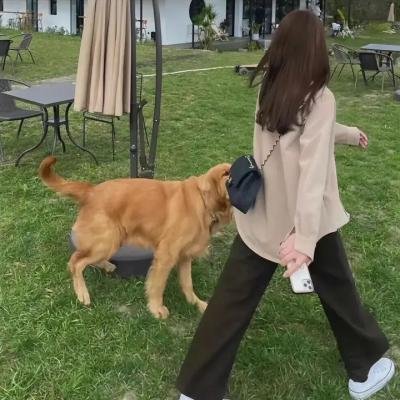英文系主任